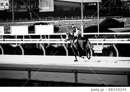 競馬 白黒写真 競馬 白黒写真 98339245