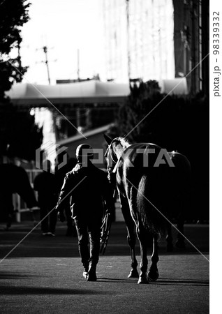 パドック風景 白黒写真 パドック風景 白黒写真 98339332