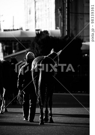 パドック風景　白黒写真 98339361