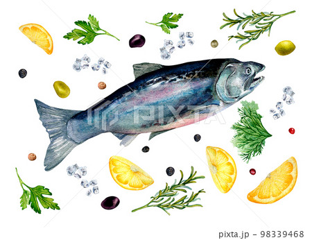 Set of trout, lemon and herbs watercolor illustration isolated on white. Set of trout, lemon and herbs watercolor illustration isolated on white. 98339468