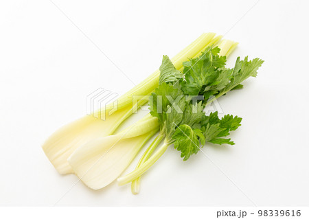 セロリ　白バック 98339616