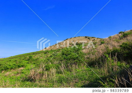 済州島 上り 動産 98339789