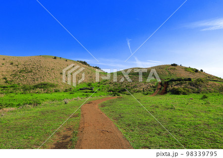 済州島 上り 動産 98339795