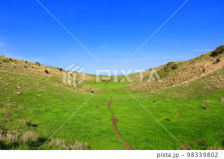 済州島 上り 動産 98339802