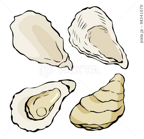 殻付き牡蠣のイラスト_4 98341070