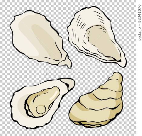 殻付き牡蠣のイラスト_4 98341070