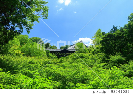 【京都府】新緑の通天橋(東福寺) 【京都府】新緑の通天橋(東福寺) 98341085