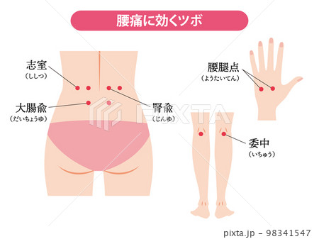 腰痛に効くツボ 腰痛に効くツボ 98341547