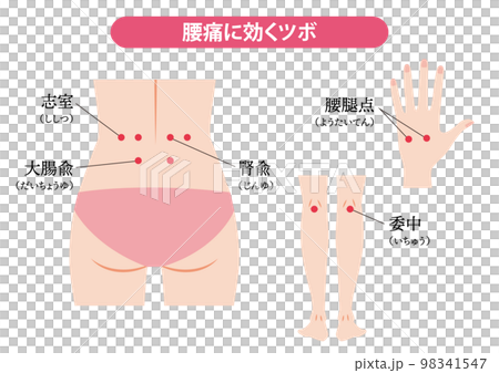 腰痛に効くツボ 腰痛に効くツボ 98341547