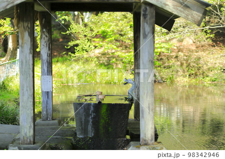 三夜沢赤城神社　前橋市　神池と手水舎 98342946