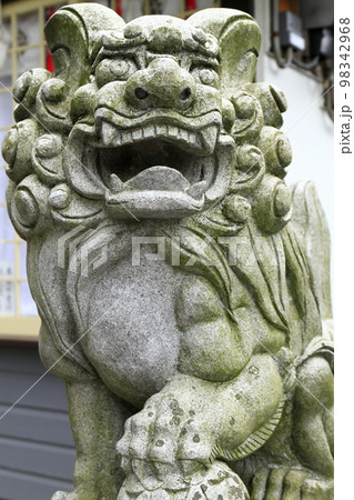 神社の社前に立つ狛犬（阿形） 98342968