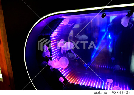 沼津港深海水族館深海生物　クラゲ 98343285