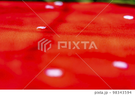 赤絨毯に落ちた桜の花びら 赤絨毯に落ちた桜の花びら 98343594