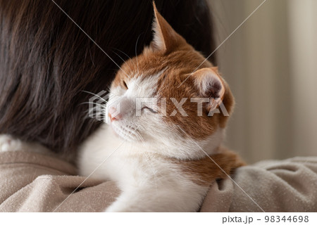 猫を抱く人　茶トラ白 98344698