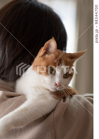 猫を抱く人　茶トラ白 98344700