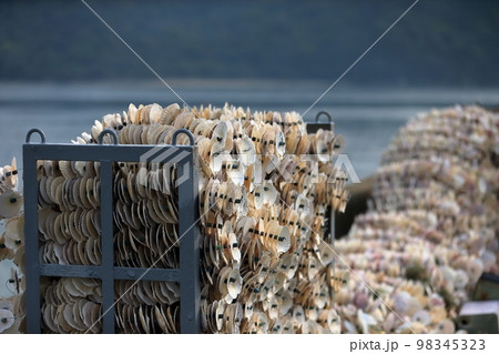 牡蠣養殖の仕掛け　イメージ 98345323