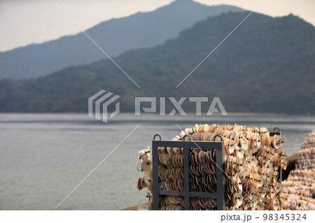 牡蠣養殖の仕掛け　イメージ 98345324