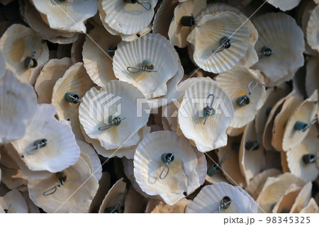 牡蠣養殖の仕掛け　イメージ 98345325