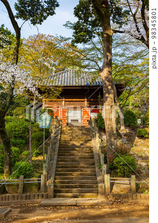 小江戸川越の春 桜満開の喜多院 慈眼堂 小江戸川越の春 桜満開の喜多院 慈眼堂 98345801
