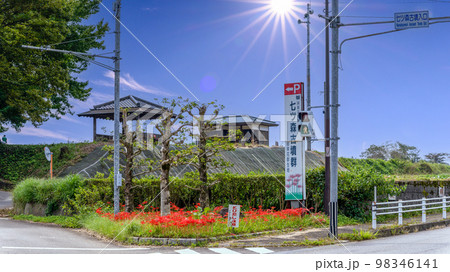 大自然の観光名所で有名な七ツ森古墳群　周辺風景（彼岸花）(大分県竹田市) 98346141