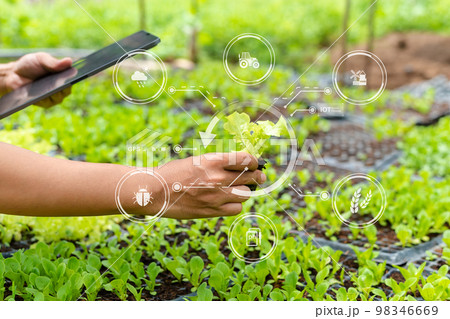 Smart farmer using application by smartphone concepts modern agricultural technology and visual icon. 98346669