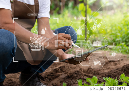 Woman hands gardening lettuce in farm  with growth process and chemical formula on green background. With VR icon. 98346671