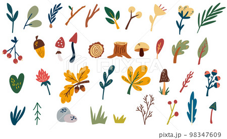 Forest plants elements. Hand draw woodland trees, hemp, leaves, herbs, berries and mushrooms. Wild botanical set. Scandinavian style vector cartoon illustration isolated. 98347609