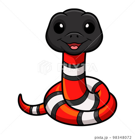 Cute milk snake or milksnake cartoon 98348072