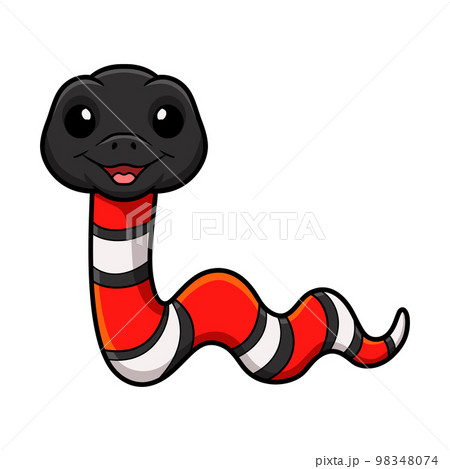 Cute milk snake or milksnake cartoon 98348074