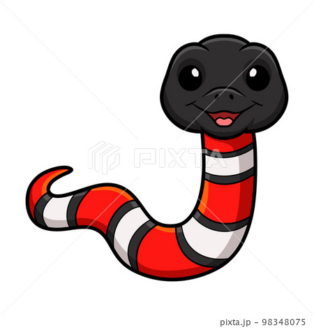 Cute milk snake or milksnake cartoon 98348075