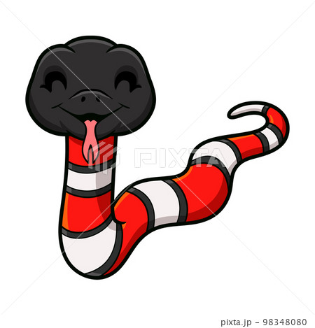 Cute milk snake or milksnake cartoon 98348080