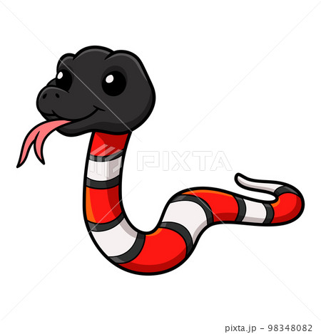 Cute milk snake or milksnake cartoon 98348082