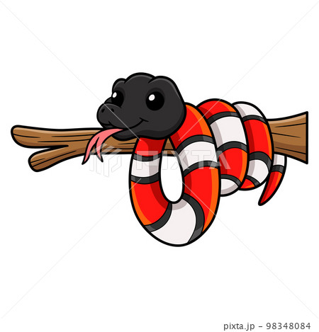 Cute milk snake cartoon on tree branch 98348084