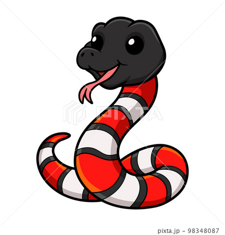 Cute milk snake or milksnake cartoon 98348087