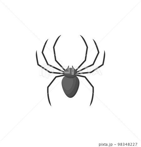 Vector flat style illustration of spider 98348227