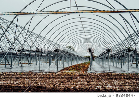Interior of modern hothouse with an advanced system of irrigation and plant care in off-season. Polytunnel and growing system during winter. Selective focus. Interior of modern hothouse with an advanced system of irrigation and plant care in off-season. Polytunnel and growing system during winter. Selective focus. 98348447