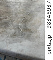 アクリル画 98348937
