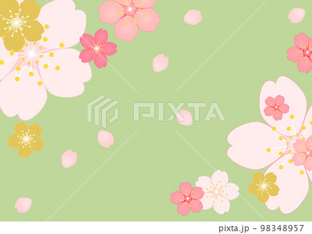 桜の花 98348957