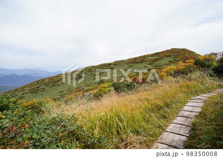 新潟・福島県境の浅草岳 前岳から浅草岳山頂を目指す途中から見る山頂方面 2022年10月3日 新潟・福島県境の浅草岳 前岳から浅草岳山頂を目指す途中から見る山頂方面 2022年10月3日 98350008