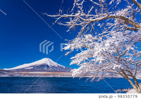 （山梨県）雪化粧した山中湖畔から望む富士山 98350779