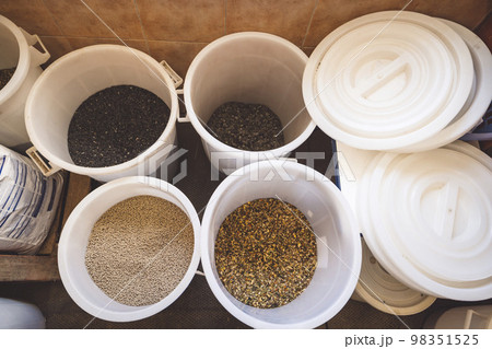A look inside buckets full of grain for horses to eat 98351525