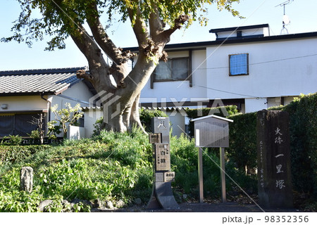富士市 旧東海道間宿・岩淵の一里塚と案内板 富士市 旧東海道間宿・岩淵の一里塚と案内板 98352356