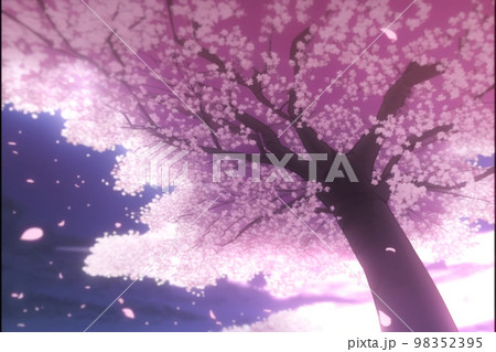 Cherry Blossom Festival- How is this Japanese festival celebrated in anime