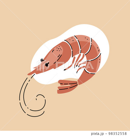 Vector illustration of an orange shrimp in a doodle style on a white background. Vector illustration of an orange shrimp in a doodle style on a white background. 98352558