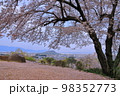 甘樫丘から畝傍山（奈良県明日香村）を見る 98352773