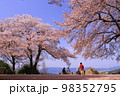 甘樫丘（奈良県明日香村）満開の桜 98352795