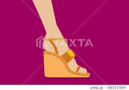 Vector flat heels shoes in box Vector flat heels shoes in box 98353484