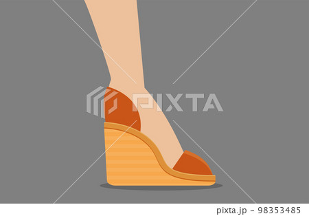 Vector flat heels shoes in box Vector flat heels shoes in box 98353485