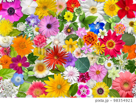 花と葉のシームレスパターン、影付きの切り抜き素材 98354921