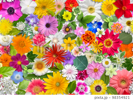 花と葉のシームレスパターン、影付きの切り抜き素材 98354921